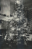 Moreen family Christmas tree, 1943