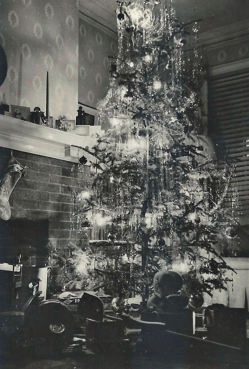 The Moreens' Christmas Tree